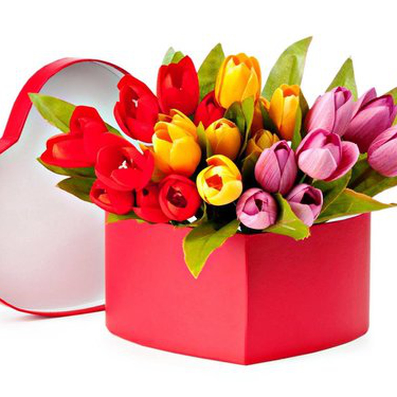 Color Tulip Box